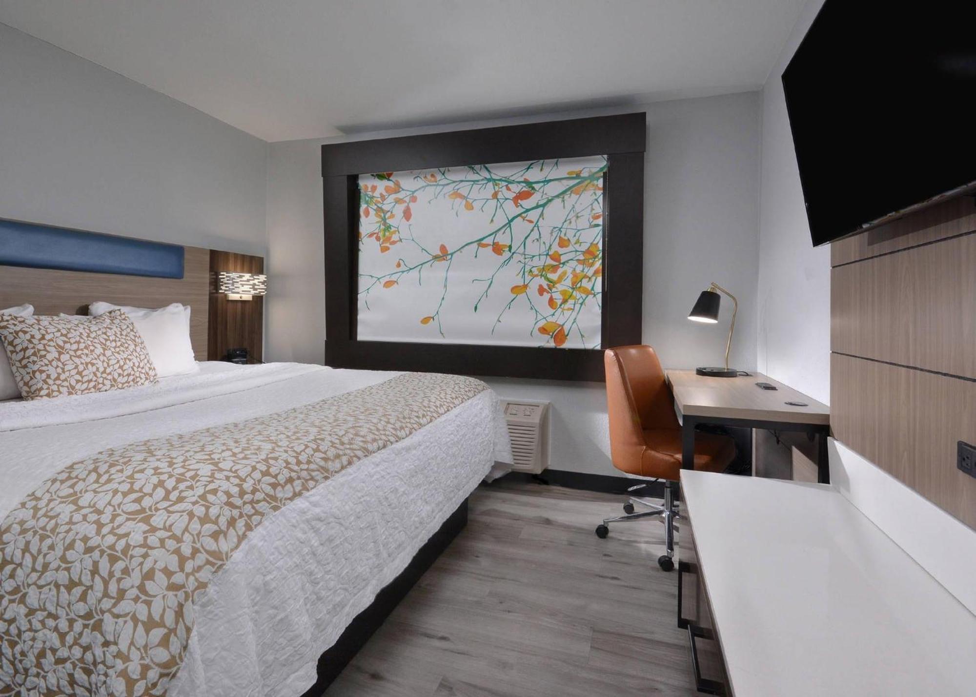 King Room - Non-Smoking