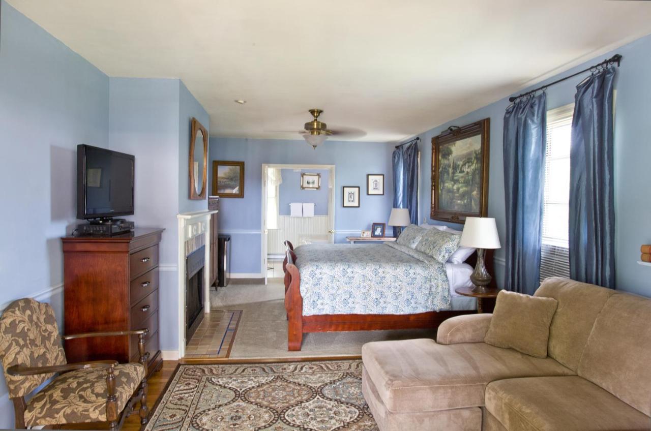 Blue Hydrangea - Pet Friendly