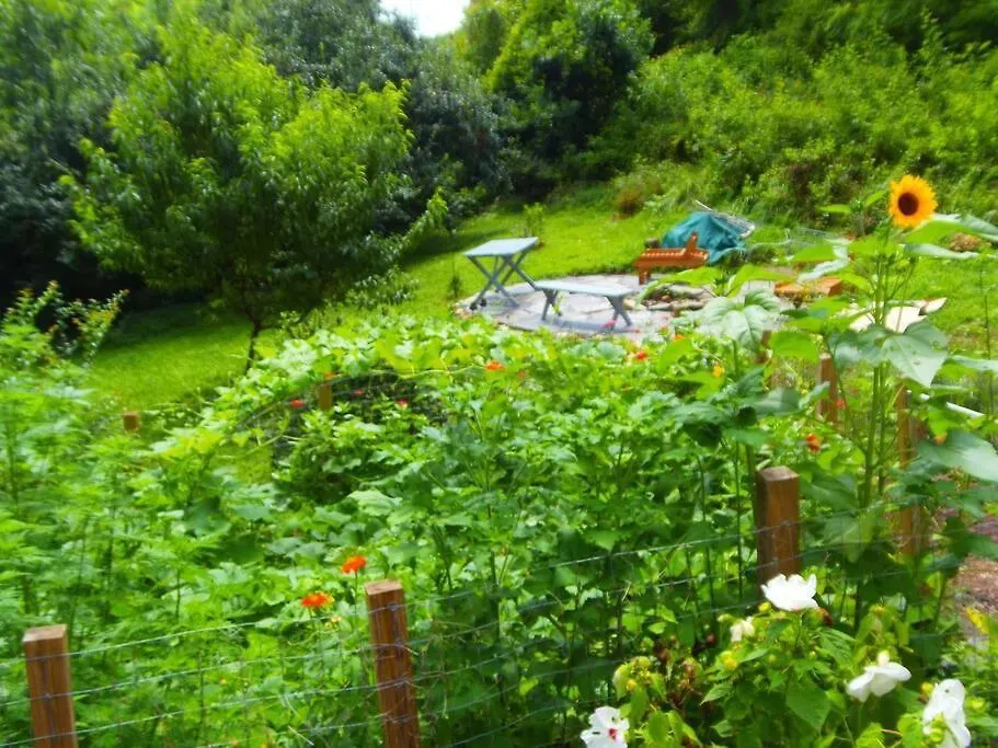 Victory Garden Cottage 12 Min To Downtown With Fire Pit And-1
