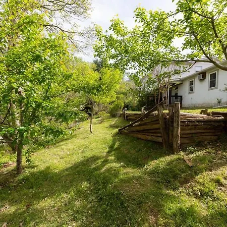 Chestnut Hill Retreat-Spacious-3 Miles To Downtown-3
