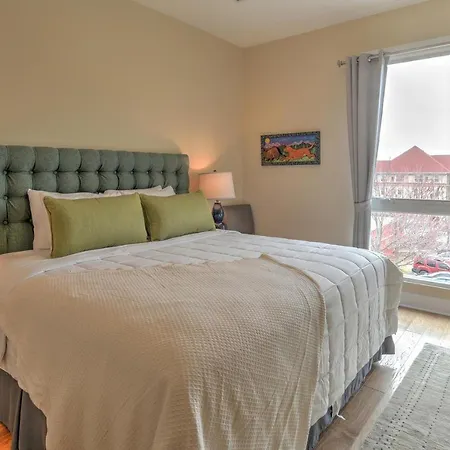 Stylish Downtown Asheville Condo | Balcony - King Bed - Walk To Everything-3