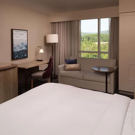 Hilton Asheville Biltmore Park-3